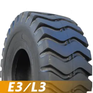 E3/L3